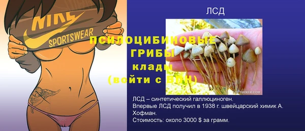 стаф Арсеньев