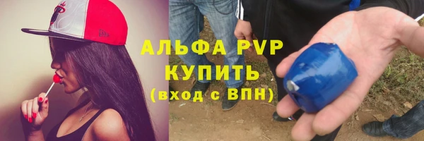 стаф Арсеньев