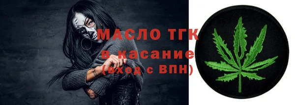 стаф Арсеньев