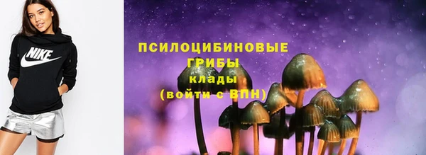 стаф Арсеньев