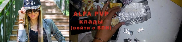 стаф Арсеньев