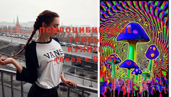 MDMA Аркадак