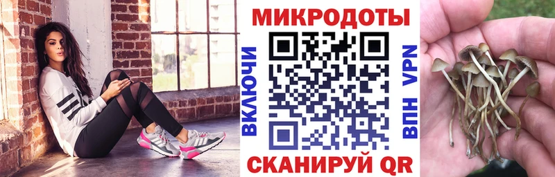 Галлюциногенные грибы прущие грибы  где купить наркотик  MEGA ТОР  Среднеуральск 